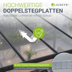 Carport 5x3 m - diverse Modelle Schützender Stellplatz mit Oberlicht und Regenrinne