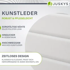 Esszimmerstuhl Loja Bequeme Stühle für das Esszimmer mit weichem Kunstleder