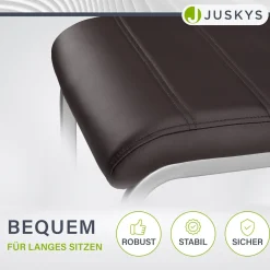 Freischwinger Stuhl Vegas mit Kunstleder Moderner Esszimmerstuhl mit Metall-Gestell & Kunstleder im Set