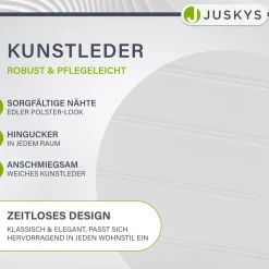Freischwinger Stuhl Vegas mit Kunstleder Moderner Esszimmerstuhl mit Metall-Gestell & Kunstleder im Set