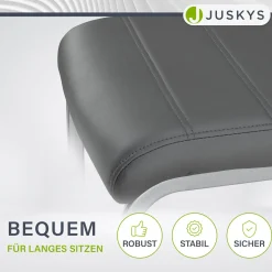 Freischwinger Stuhl Vegas mit Kunstleder Moderner Esszimmerstuhl mit Metall-Gestell & Kunstleder im Set