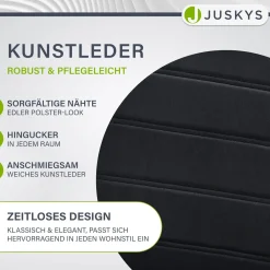 Freischwinger Stuhl Vegas mit Kunstleder Moderner Esszimmerstuhl mit Metall-Gestell & Kunstleder im Set