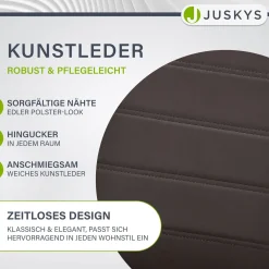 Freischwinger Stuhl Vegas mit Kunstleder Moderner Esszimmerstuhl mit Metall-Gestell & Kunstleder im Set