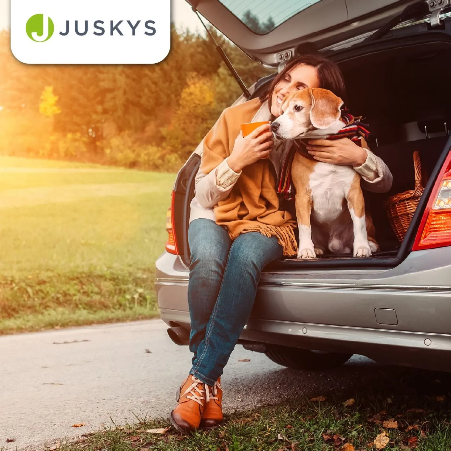 Hundebox Auto faltbar Lassie Hundetransportbox mit Tragegriff & Liegedecke