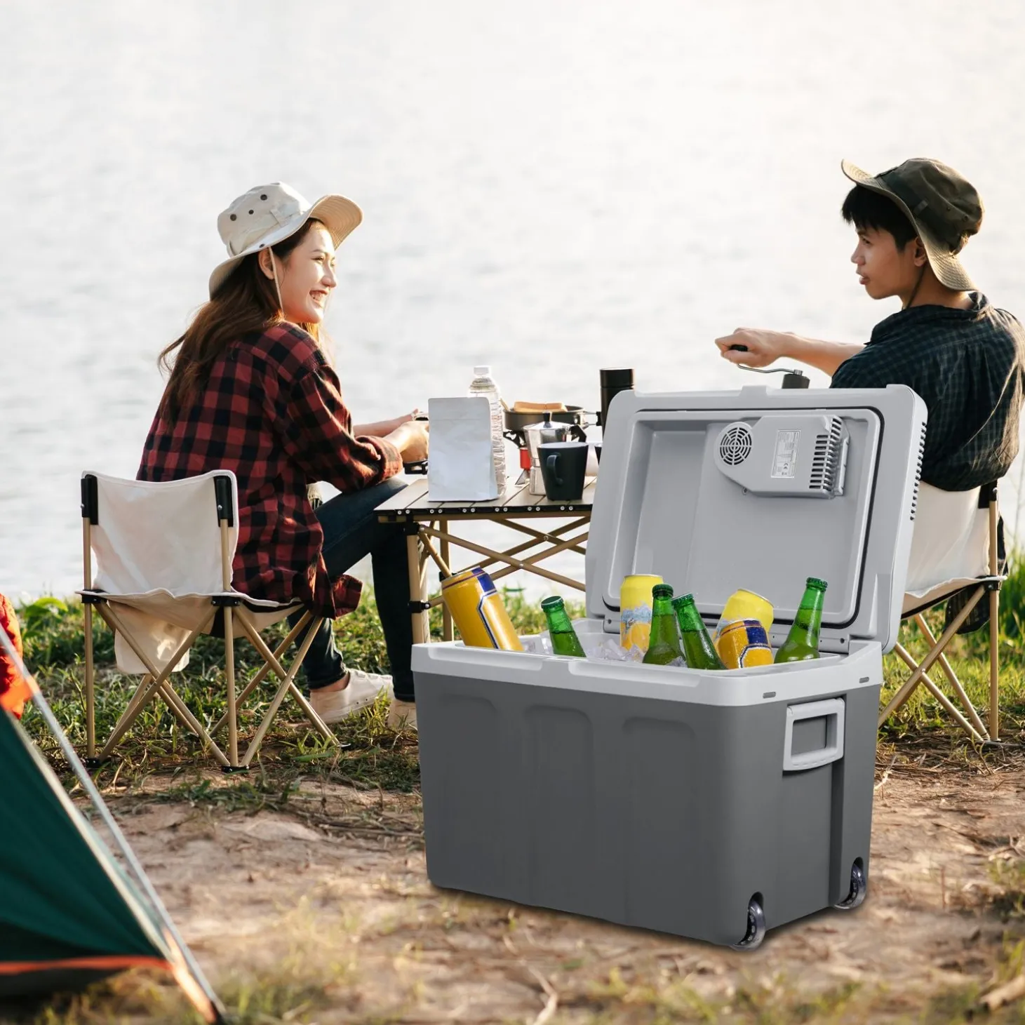 Kühlbox Nordpol Elektrische Kühlbox mit praktischem 12 V und 230 V Anschluss