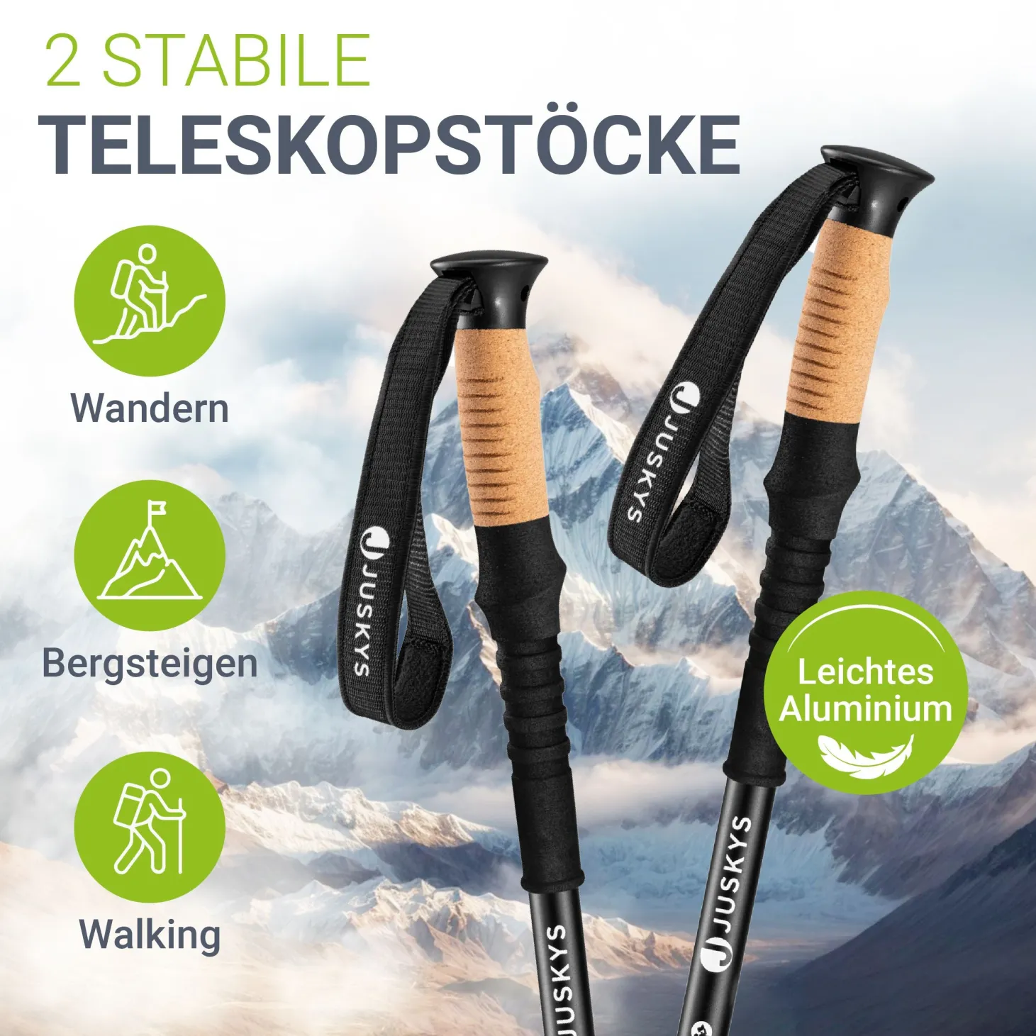 Nordic Walking Wanderstöcke mit Zubehör 2 Alu Teleskop Wanderstöcke mit Gummipuffer Set & Tasche